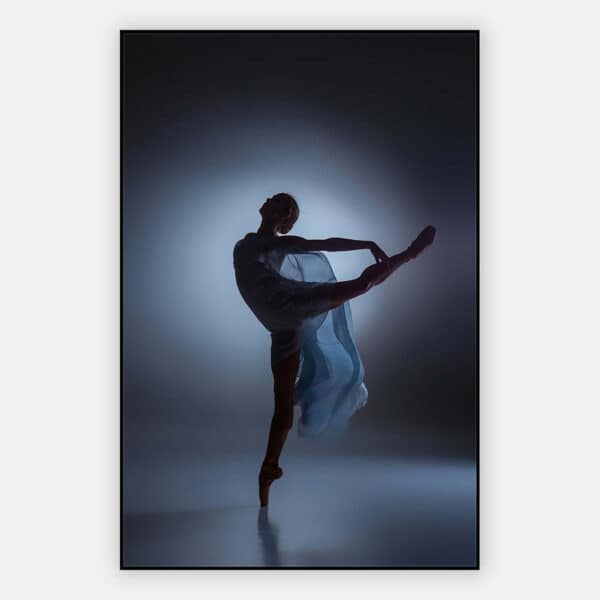 Silhouette-balletdanseres-blauw-grijs-akoestisch-paneel.jpg