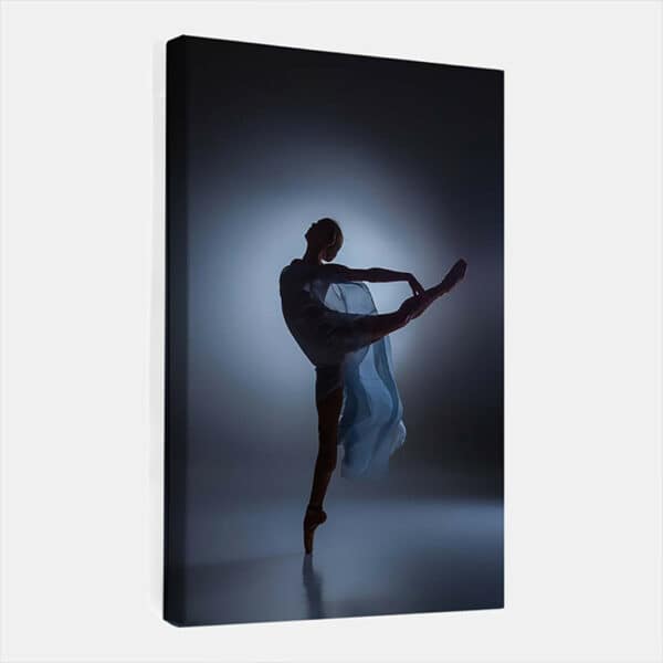 Silhouette-balletdanseres-blauw-grijs-canvas-binnen.jpg