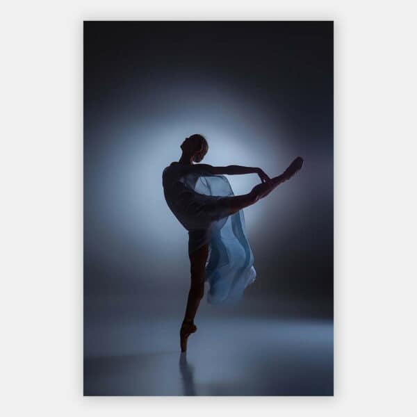 Silhouette-balletdanseres-blauw-grijs-wandpaneel.jpg