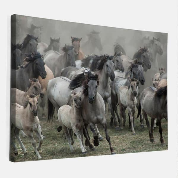 Wilde-paarden-NG-canvas.jpg