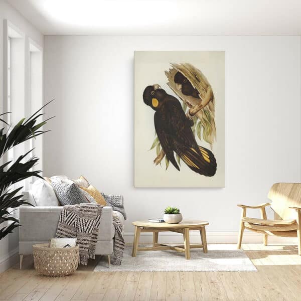 Yellow-eared-Black-Cockatoo-Elizabeth-Gould-canvas-sfeer.jpg