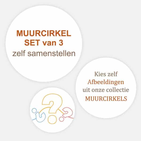 Muurcirkel set van 3 zelf samenstellen