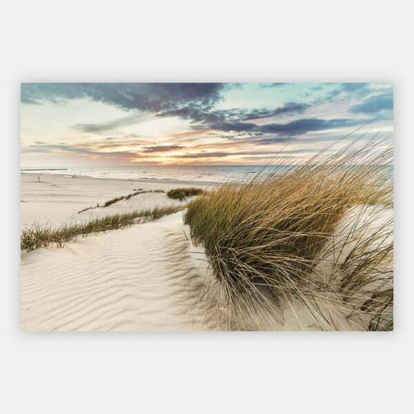 beach-grass-dune-baltic-sea-sunset-warmer-wandpaneel.jpg