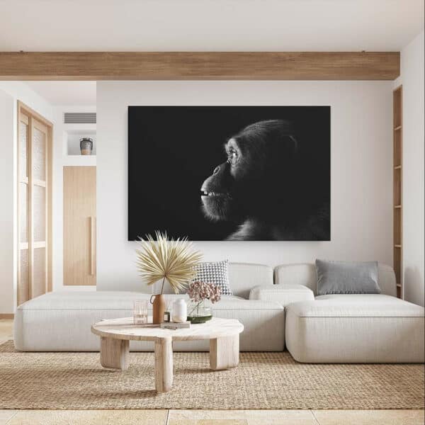 chimpansee-close-up-zwart-wit-canvas-sfeer.jpg