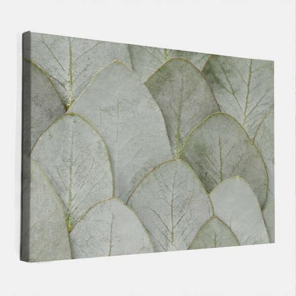 eucalyptus-canvas.jpg