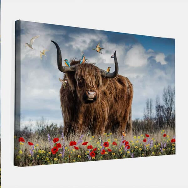 schotse-hooglander-special-canvas.jpg