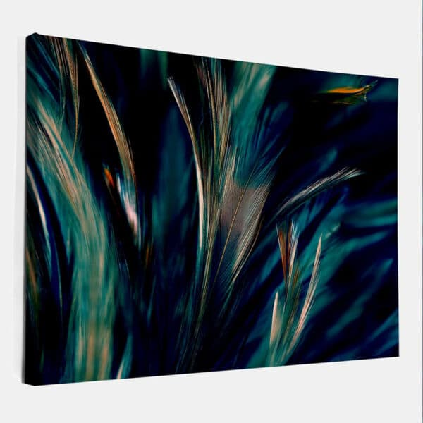 zachte-kleurige-kippen-veren-abstract-art-canvas-binnen.jpg