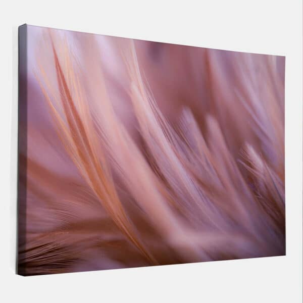 zachte-roze-kippen-veren-abstract-art-canvas-binnen.jpg